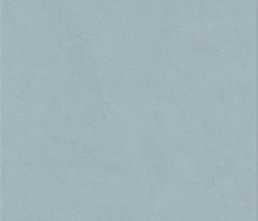 Керамогранит FLORALIA BLEUET RECT (0008233) 60x120 от Ariana (Италия)